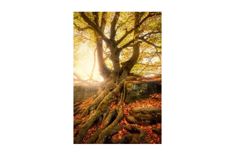 Séminaire Enracinement et Soleil