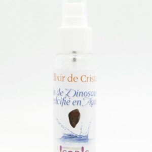 Elixir de Cristal - Os de dinosaure calcifié en agate